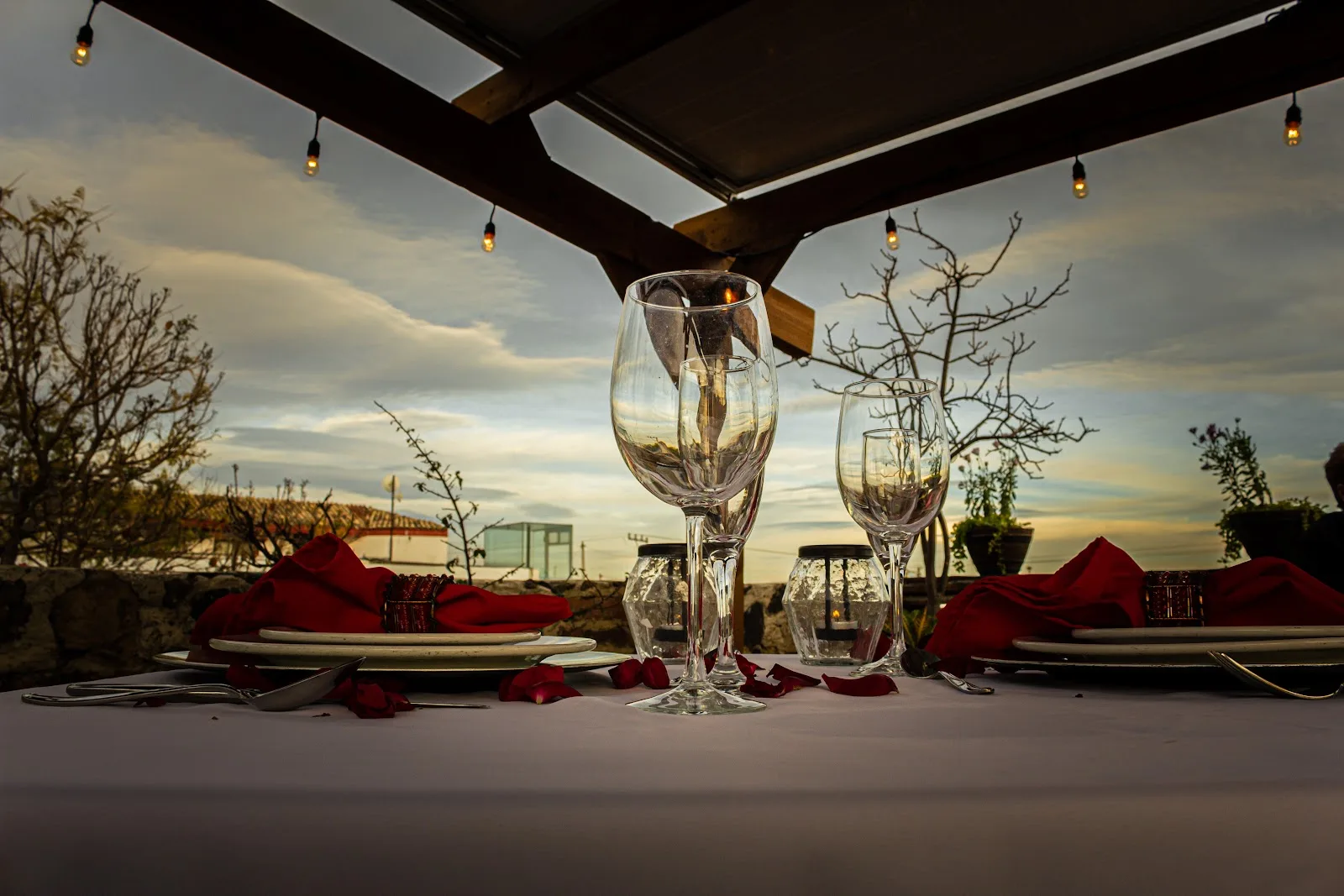 Cena en la terraza